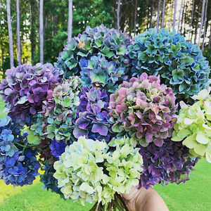 Meet your Posher, Meredith